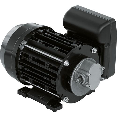 Gear pump Electric Piusi Garda, 230V, 350W NMT450006