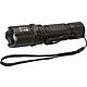 Torch LuxPremium 250F, CREE-LED, IP44