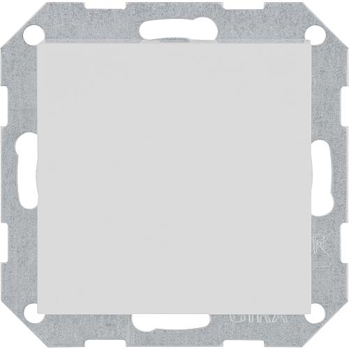 Central plate / blind cover Standard 1