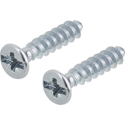 Appliance screws, combination Phillips head Standard 2