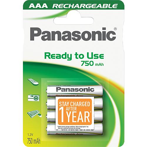 Panasonic EVOLTA Ni-MH battery cells, Micro, AAA Standard 1