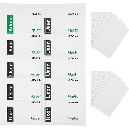 EVlink - 10 RFID cards