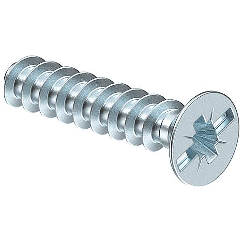 Device screw, for flush-mounting/cavity wall Standard 1