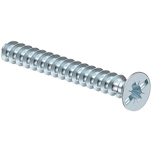 Device screw, for flush-mounting/cavity wall Standard 2