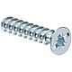 Device screw, for flush-mounting/cavity wall Standard 1