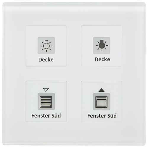 Glass button Plus, without temperature sensor Standard 2