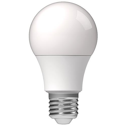 LED lamp, light bulb shape