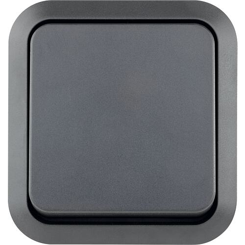 Button with glow lamp AquaStorm, surface-mounted, grey Standard 1