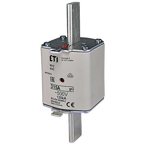 ETI NH fuse NH2 gG 315A/500V, PU 3