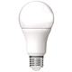 LED lamp, light bulb shape