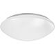 Plafonnier / applique mural LED, surface circulaire Standard 1