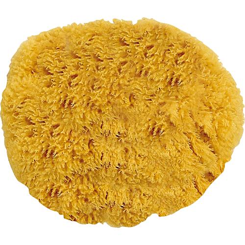 Natural sponge