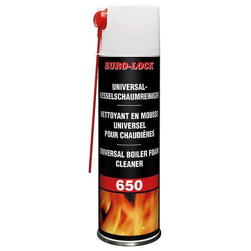 Universal boiler foam cleaner EURO-LOCK LOS 650, 500 ml spray can