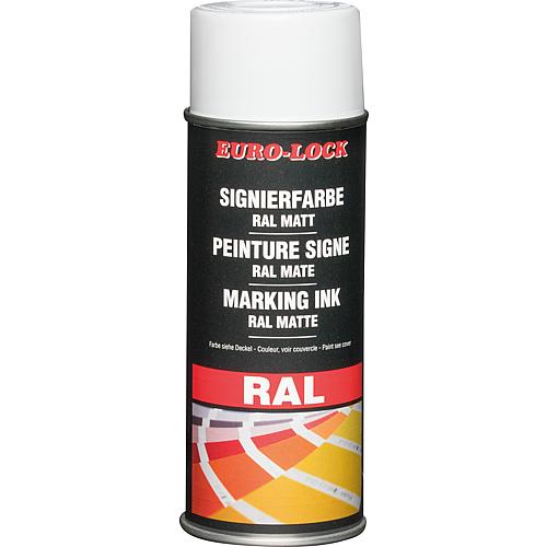RAL colour spray Anwendung 10