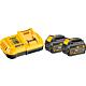 Starter set DeWalt DCB118T2 2 batteries DCB 546 54V / 6Ah 1 charger DCB 118 FlexVolt