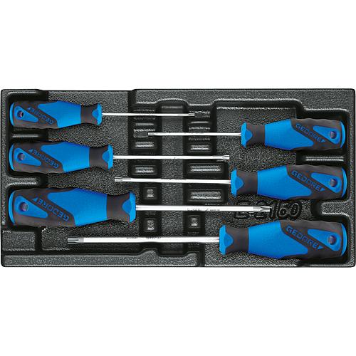 Screwdriver set, in 1/3 module, 6-piece Standard 1