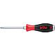 Pozidriv screwdriver with striking cap, hexagonal blade, hex spanner aid