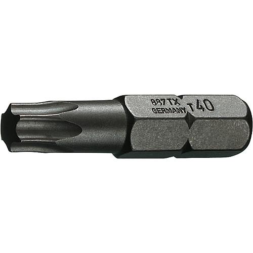 Screwdriver bit 1/4" internal Torx®, economy pack