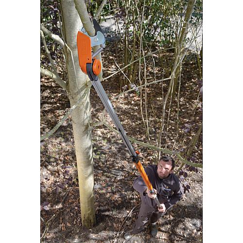 Branch shears with telescopic pole, ATP230-410, aluminium tube, extendable from 2.3 to 4.0 m Anwendung 4