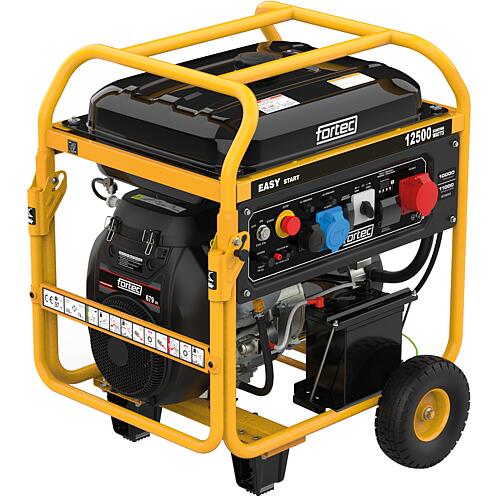 Power generator FT60006, 12000 W Dual Standard 1