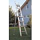 Extension ladder for trees, two-part