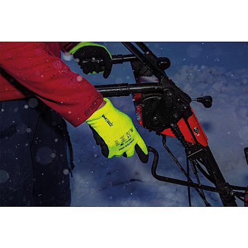 Cold protection gloves WINTER GRIP