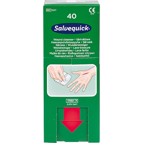 Wound cleansing wipes Salvequick, 1009301, PU = 40 pieces