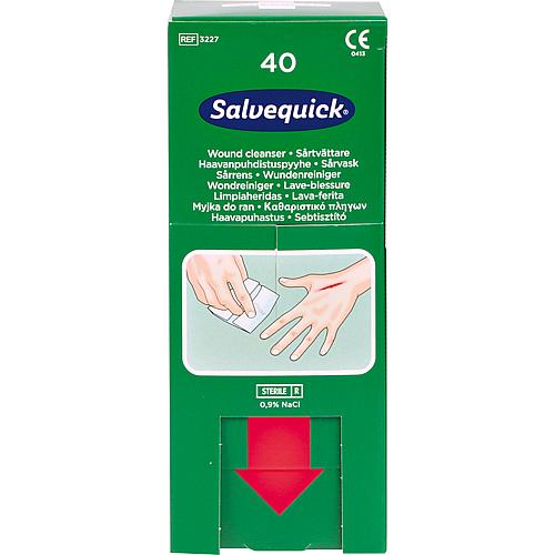 Wundreinigungstücher Salvequick Standard 1