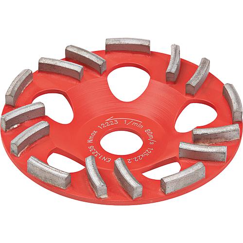 Diamond sanding plate, Ø 125 mm for concrete sander (80 863 52) Standard 1