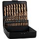 HSS-Co twist drill set ALPEN 25-piece DIN 338 RN