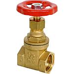 Gate valve made of brass