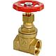 Gate valve made of brass