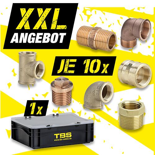 XXL offer Gunmetal threaded fittings + TBS transport box Standard 2