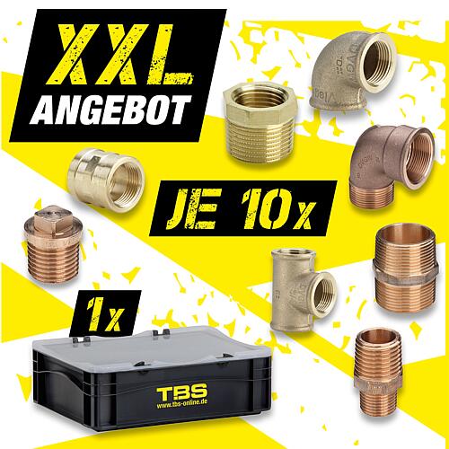 XXL offer Gunmetal threaded fittings + TBS transport box Standard 1