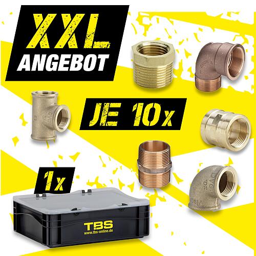 XXL offer Gunmetal threaded fittings + TBS transport box Standard 3