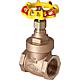 Red-yellow gate valve