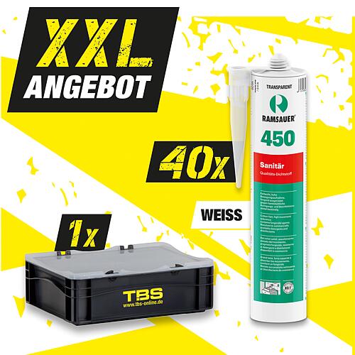 XXL offer Ramsauer® sanitary silicone 450 white 310 ml + TBS transport box, 41 parts