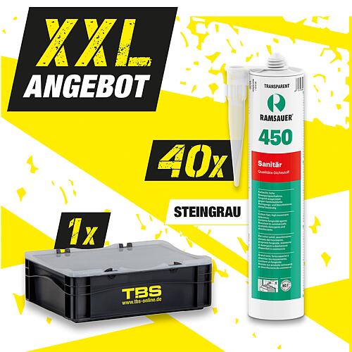 Offre XXL Ramsauer Silicone sanitaire 450 gris pierre 310 ml + Mallette de transport TBS, 41 pièces