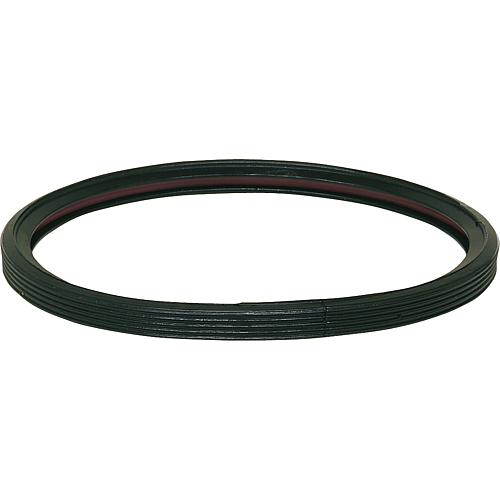 Replacement lip sealing ring Standard 1