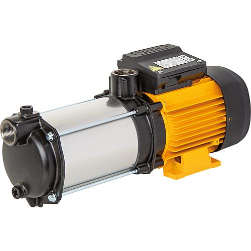 Garden pump Espa Aspri 25 5 GG 230 Volt, DN25 (1")