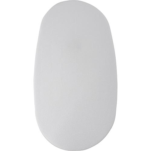 Standing toilet sound protection plate