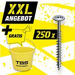 XXL offer disc head screws, fully threaded 5 PU + free TBS construction bucket, 251 pieces