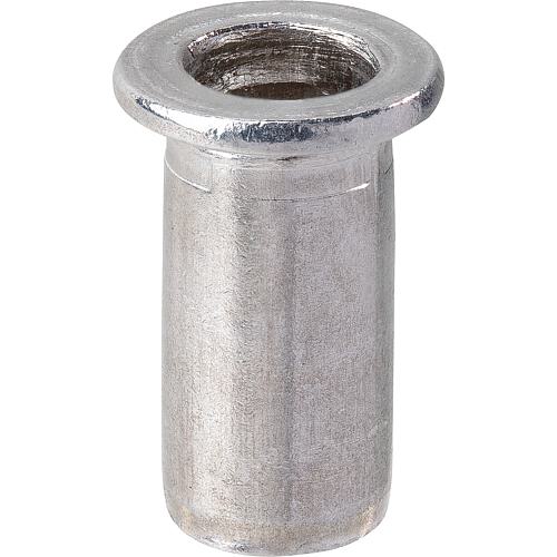 GESIPA blind rivet nut PolyGrip, aluminium M5, PU: 50 units