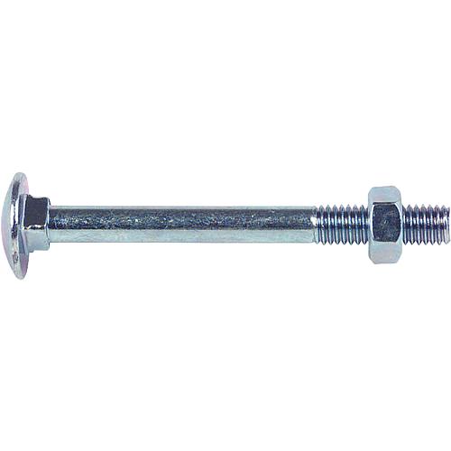 Truss-head bolts DIN 603-4.6 Mu, galvanised, thread ø 8 mm Standard 1