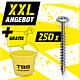 XXL offer disc head screws, fully threaded 5 PU + free TBS construction bucket, 251 pieces Standard 1