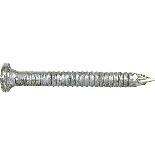 Anchor nails with flat head, galvanised Standard 1