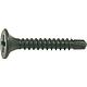 Cross slot dry wall screws with drilling tip, standard packaging Standard 1