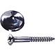 Mirror screw with brass head Standard 1