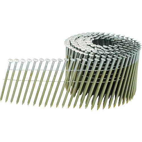 Coil nails with lens head type CNW 2.8 x 65 mm, V2A, PU = 6000 pcs.