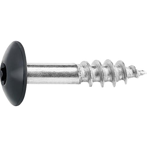 Facade screws for HPL panels A4 Standard 1